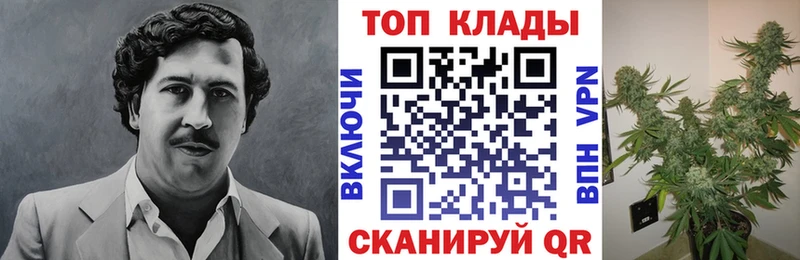 Наркотические вещества Бердск СОЛЬ  Амфетамин  Галлюциногенные грибы  COCAIN 