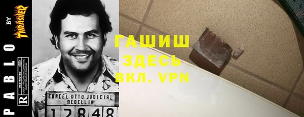 сатива Новодвинск