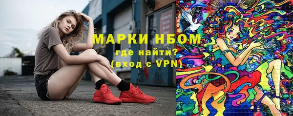 сатива Алзамай