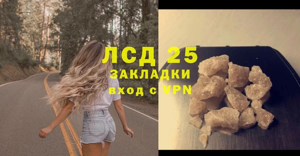 сатива Алзамай