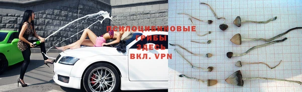 сатива Алзамай